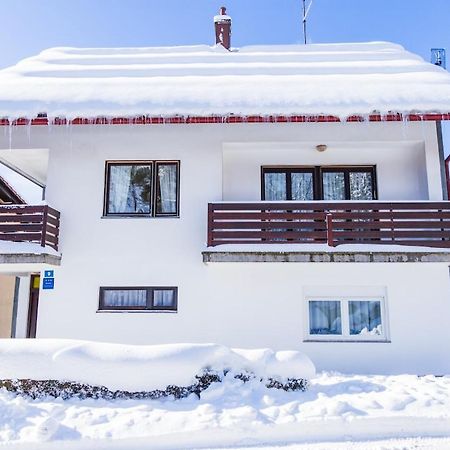 Apartman Japlenski Delnice Exterior foto