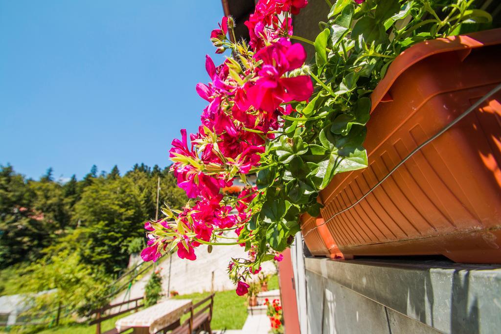 Apartman Japlenski Delnice Exterior foto