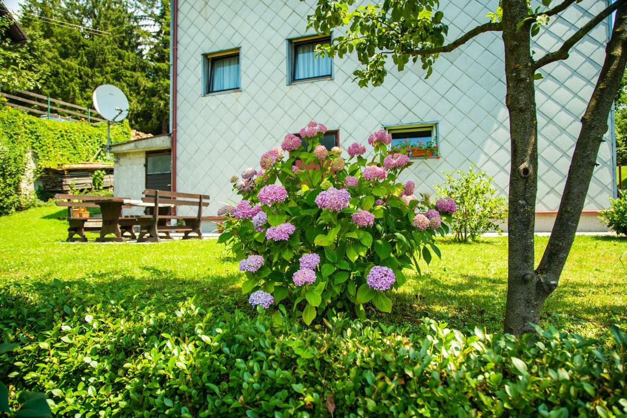 Apartman Japlenski Delnice Exterior foto